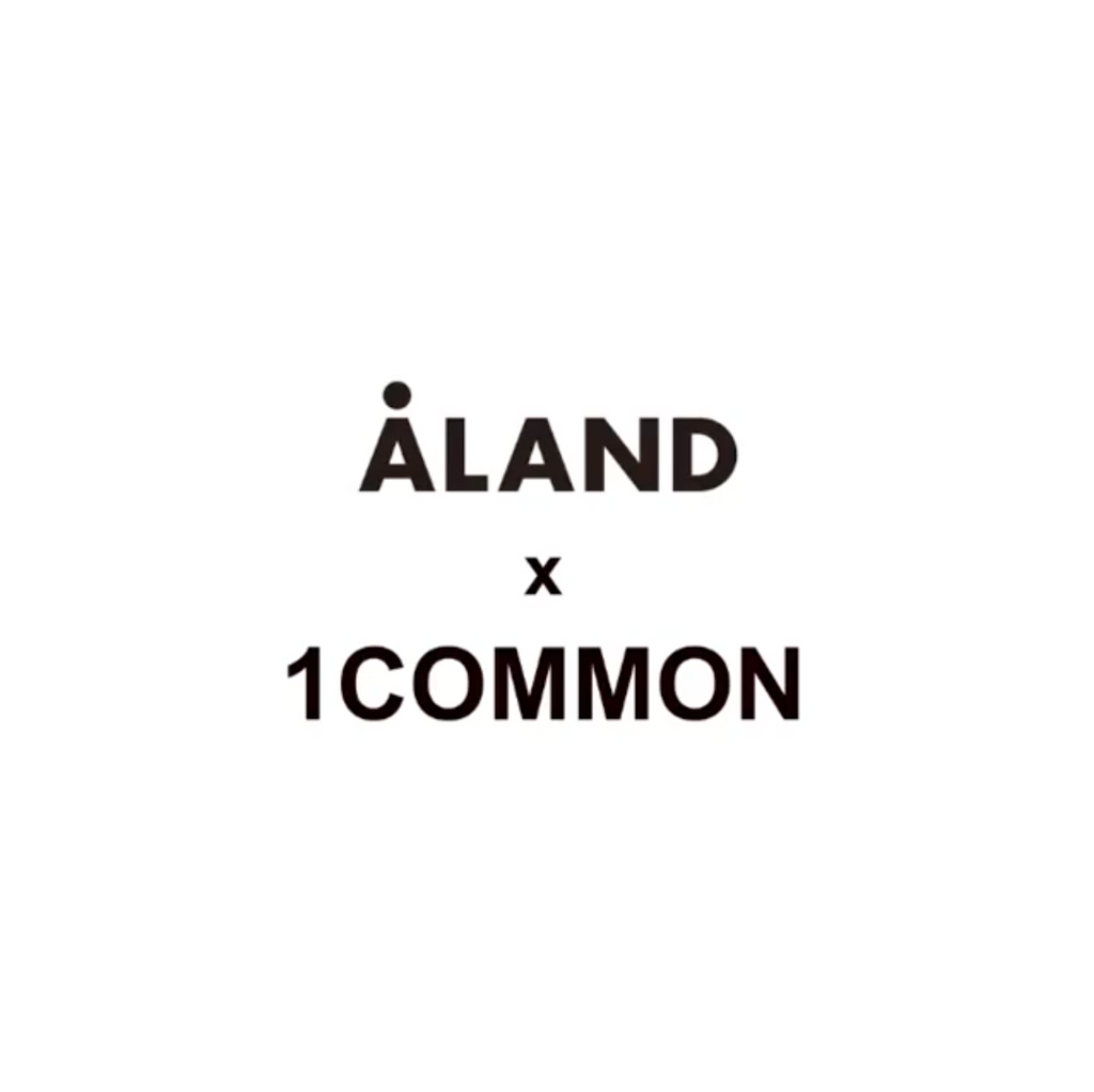 ALAND X 1 COMMON